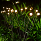GardenGlow™ Magic Solar tuinlampen